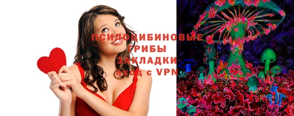соль ск Ладушкин